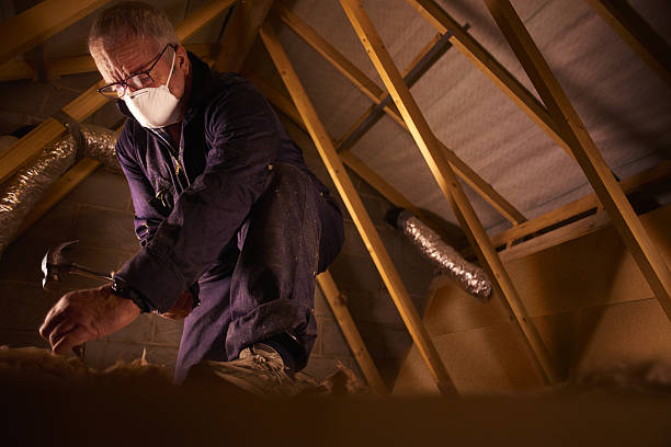 Best Geographic-Specific Insulation Services in Noank, CT